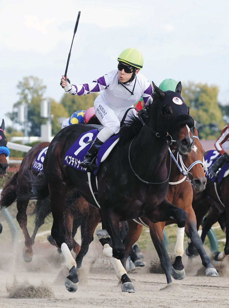 フェブラリーS】ペプチドナイルの沼川一彦オーナー、馬主31年目でG1