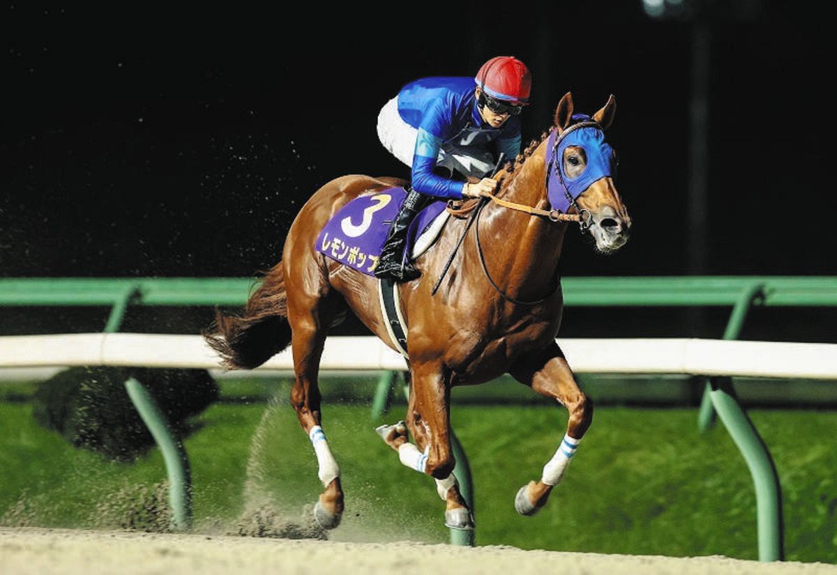 レモンポップ馬なりで大差圧勝 コンビの坂井瑠星「一緒に楽しみました