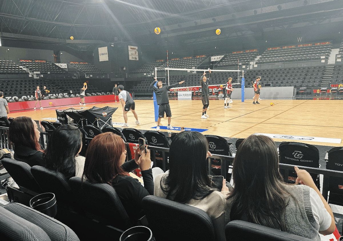 バレーボール　豊田合成トレフェルサ(現ウルフドッグス名古屋) バレーボール 豊田合成トレフェルサ(現ウルフドッグス名古屋
