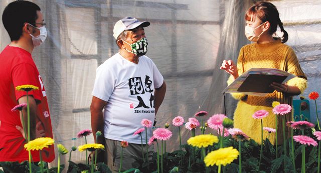 和ガーベラ 開発１７年 浜松独自品種 希望咲かせる 中日新聞しずおかweb