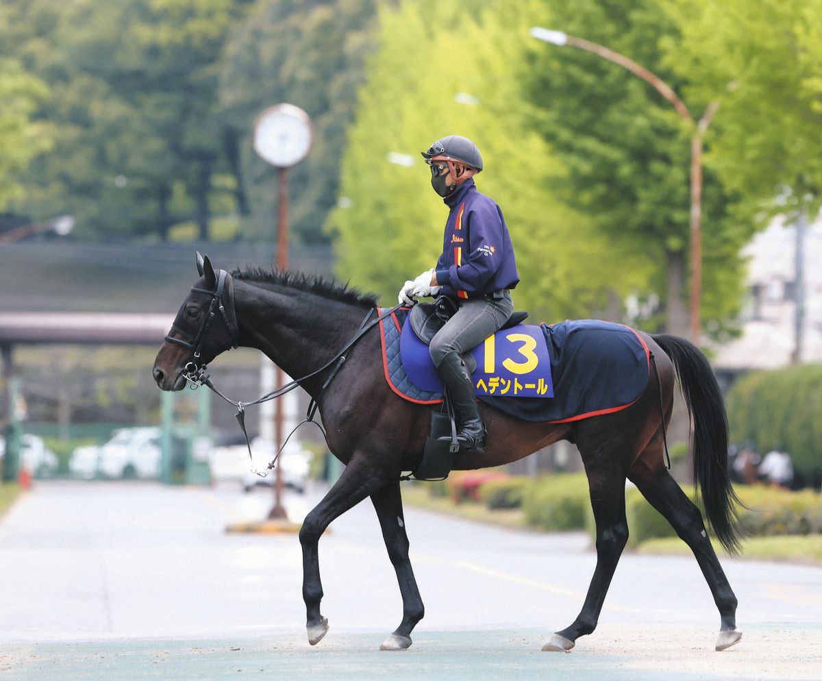 天皇賞・春】ヘデントール京都に到着 岡本助手「状態は去年と同じ