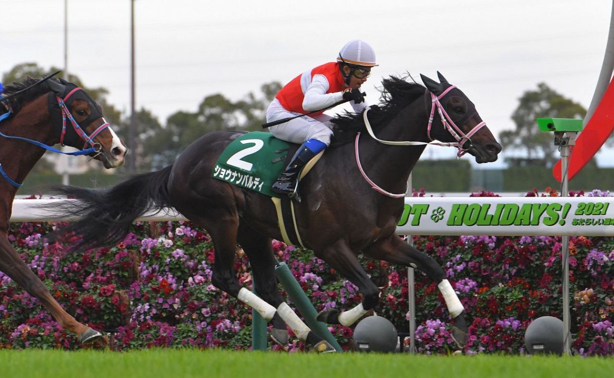 ショウナンバルディが右前浅屈腱炎、9カ月以上の休養へ 2021年の中日新聞杯で重賞初制覇【競馬】：中日スポーツ・東京中日スポーツ
