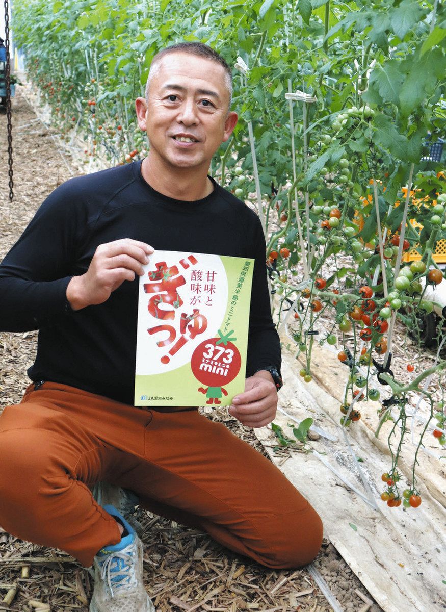 みなみの島様　確認用 17END｜幻のビーチと絶景スポット | みゃーくずみ