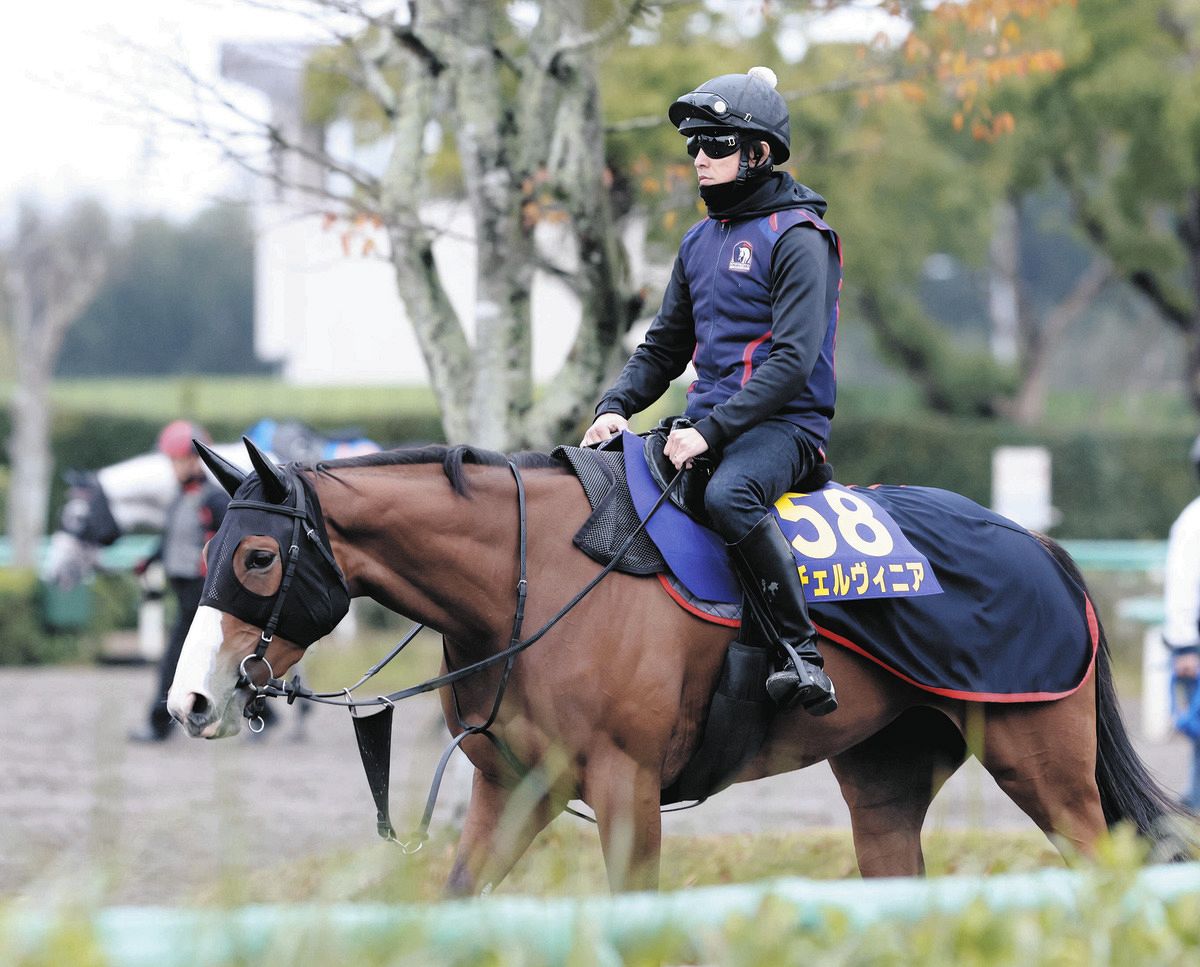 チェルヴィニア ジャパンカップ 佳かっ 現地単勝馬券 記念馬券 外れ コレクション 売買されたオークション情報 落札价格 【au  payマーケット】の商品情報をアーカイブ公開
