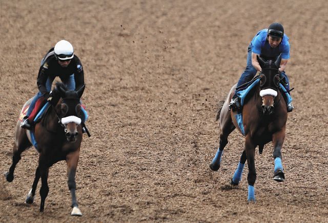 天皇賞・秋2連覇へアーモンドアイが2週前追い…国枝師「昨年と同じ