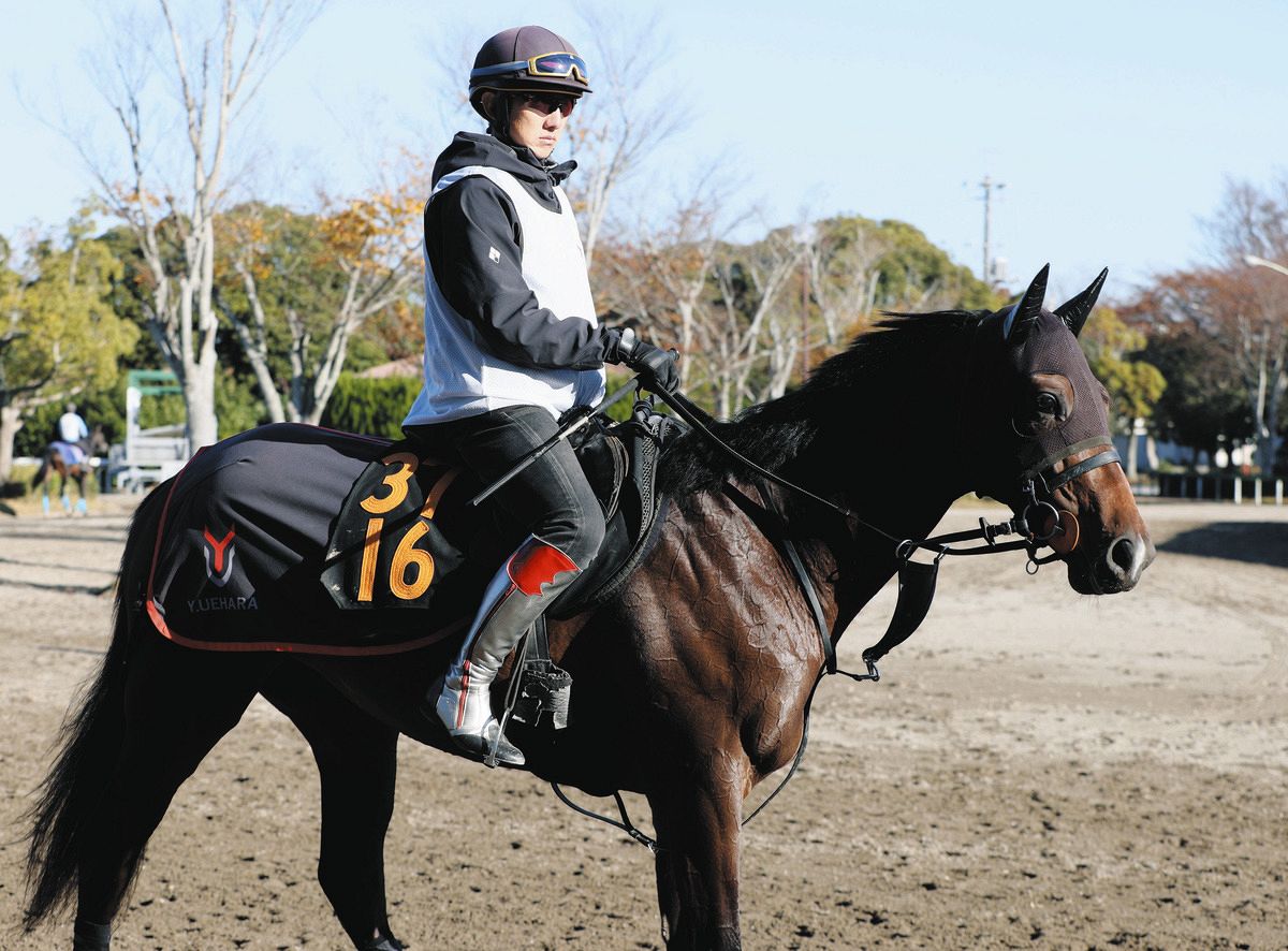 弥生賞・1週前】ライヒスアドラーは重賞馬に食らい付き6F82秒8―11秒1