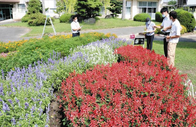 学校花壇の美しさ競うｆｂｃの県中央審査始まる 中日新聞web