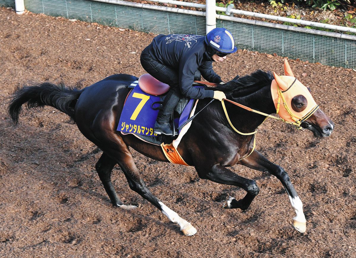 ジャンタルマンタル、ハンパない躍動感 高野師「コース替わりは心配