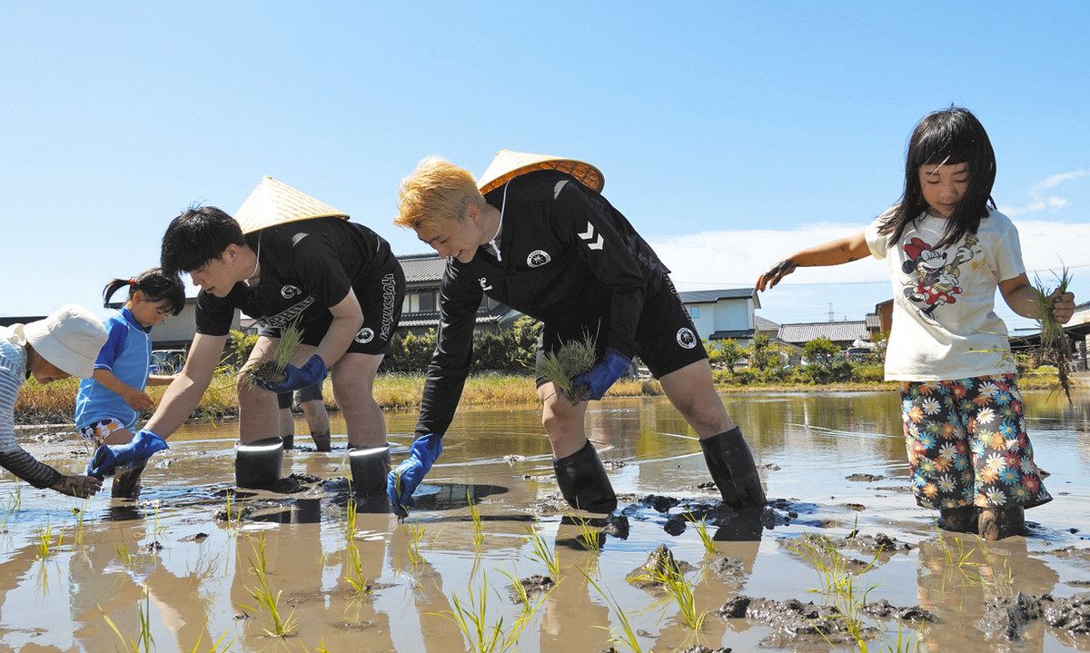 泥んこになって子どもたちと一緒に B1ドルフィンズ選手、津島で田植え