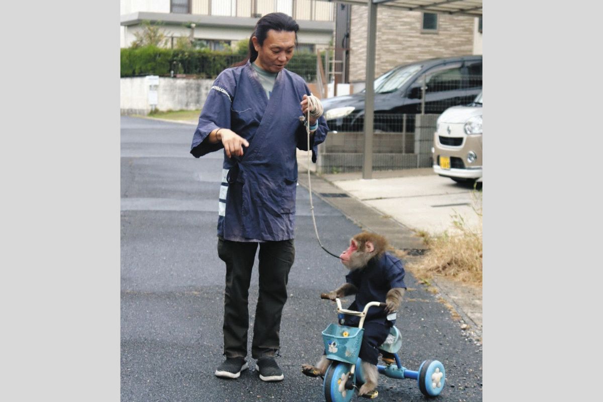 瀬戸に猿（えん）あり、猿（えん）熟の猿まわし 河辺さんと「十兵衛