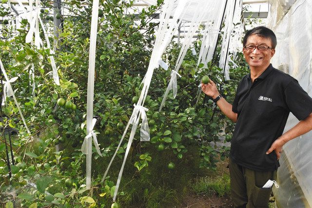 無農薬栽培について話す河合さん＝豊橋市中原町で 