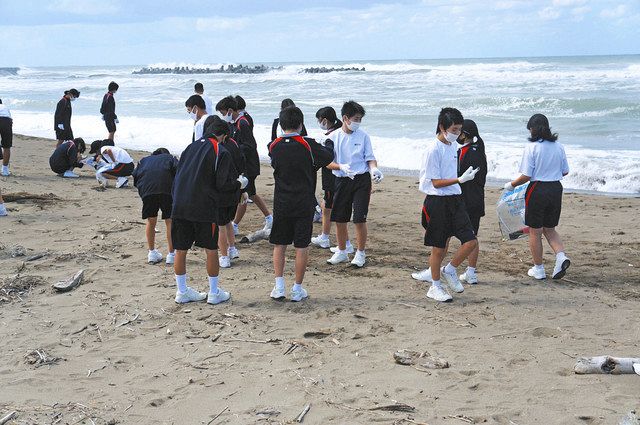 みんなでやった 海岸清掃 徳光 松任中１年生が実践 北陸中日新聞web