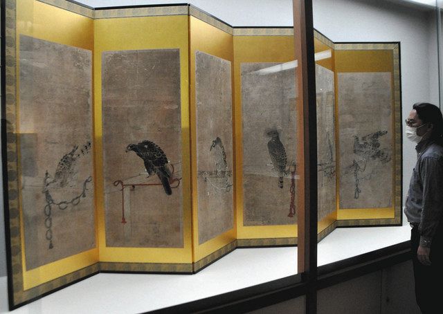 屏風の鷹 修復を漫画に 江戸初期作品、金美大が完了：北陸中日新聞Web