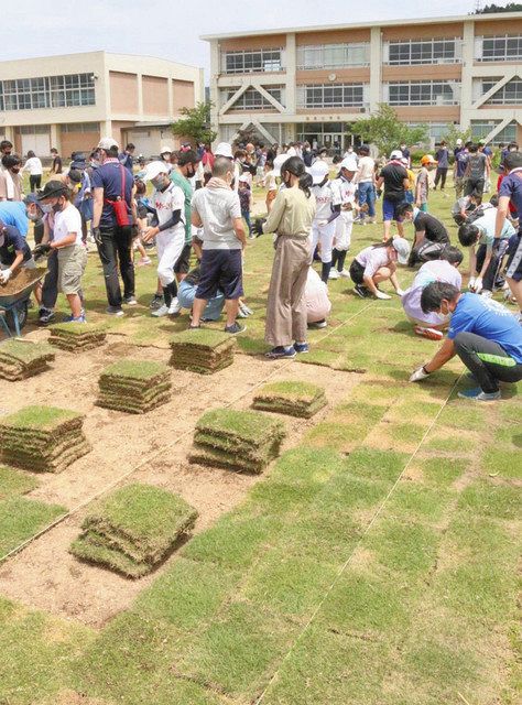 小浜 旧国富小 グラウンド芝生に 地域住民ら植え付け協力 日刊県民福井web