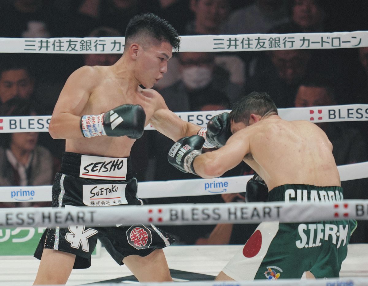 坪井智也、クアドラスに引退を決意させる完勝「最初のジャブが数発