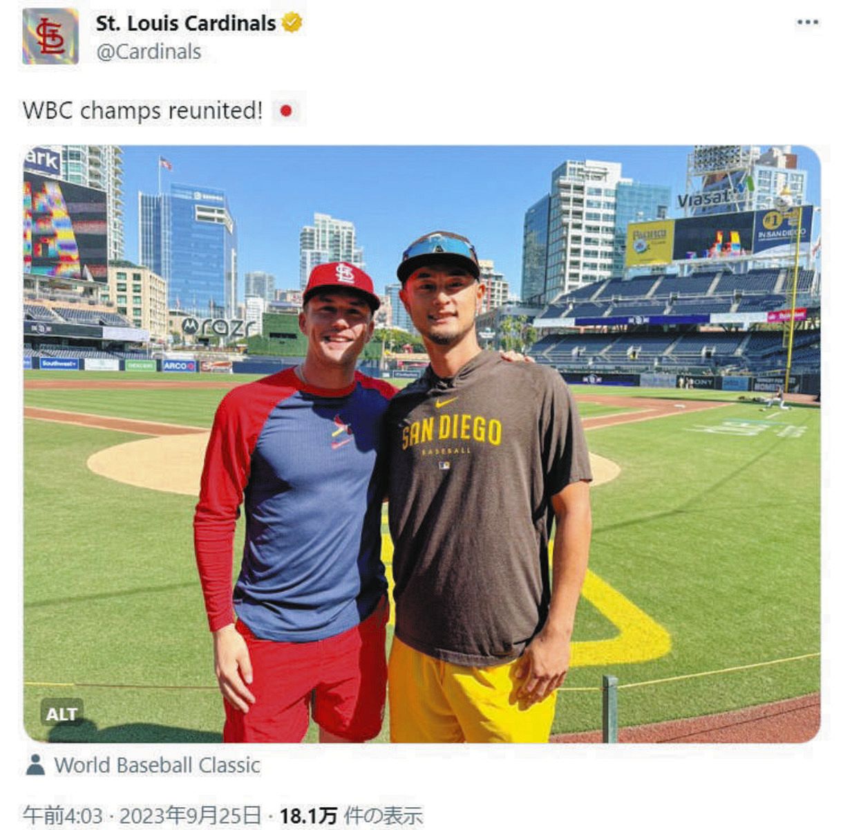 MS】大谷翔平+侍ジャパン 2023年WBC 優勝記念 ボブルヘッド人形