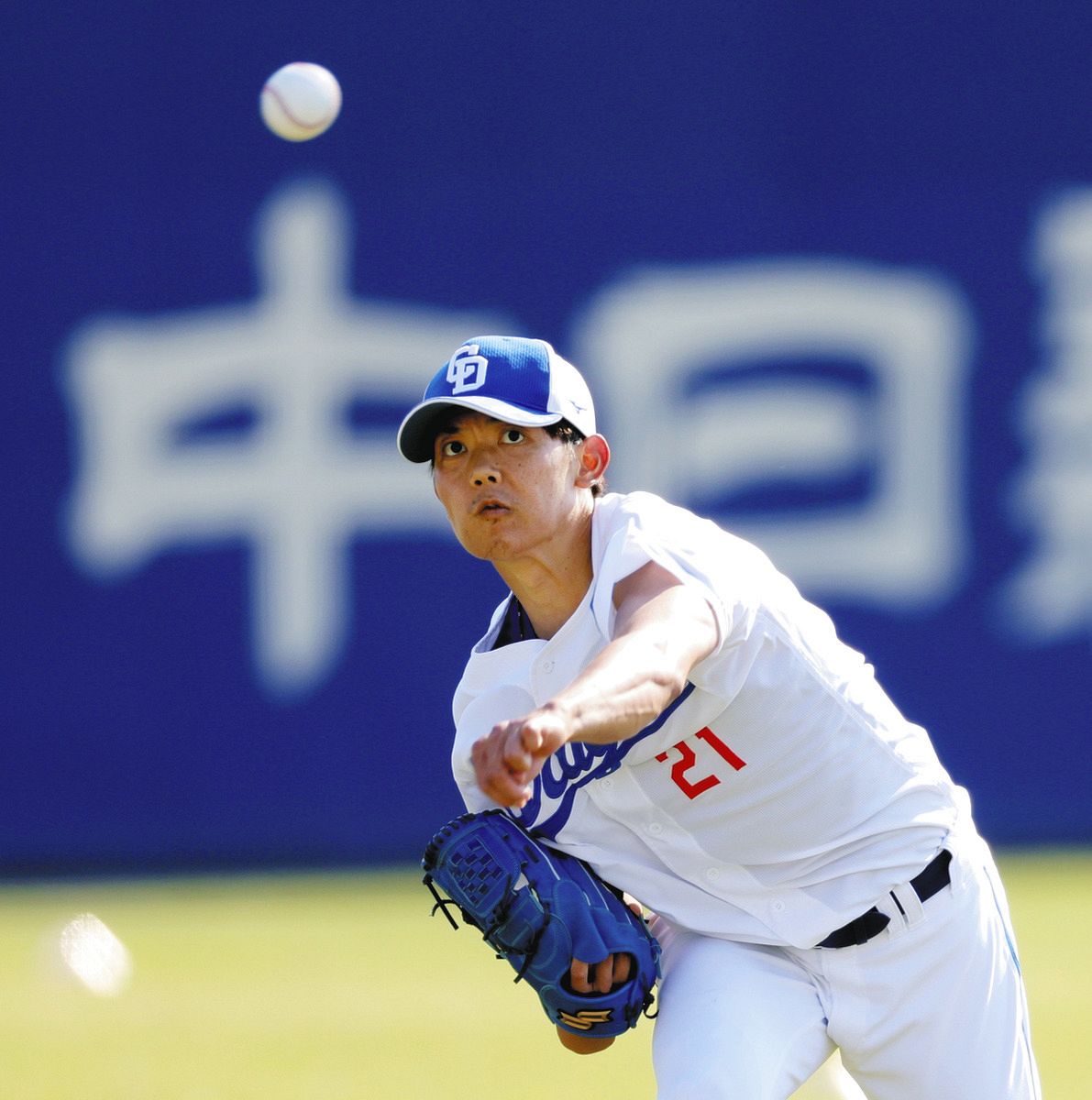 岡田俊哉 怪我