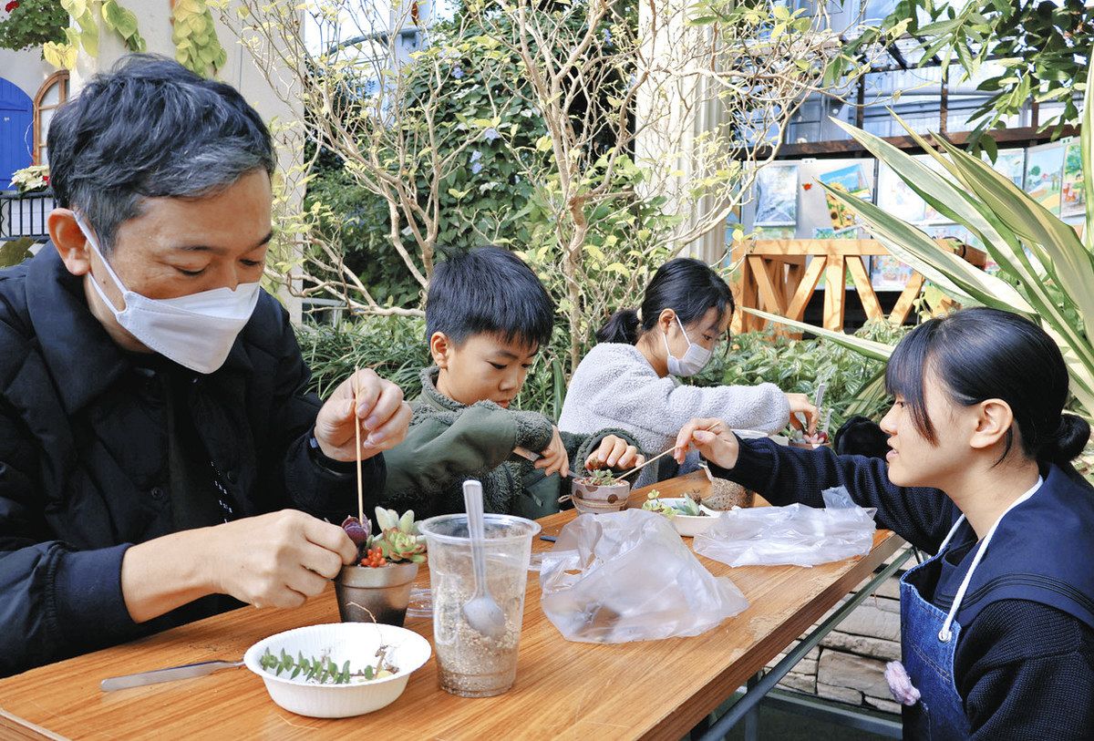 多肉寄せ植えで広がる趣味の輪