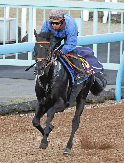 香港チャンピオンズデーにヒシイグアス、ダノンザキッドなど日本馬5頭を選出：中日スポーツ・東京中日スポーツ