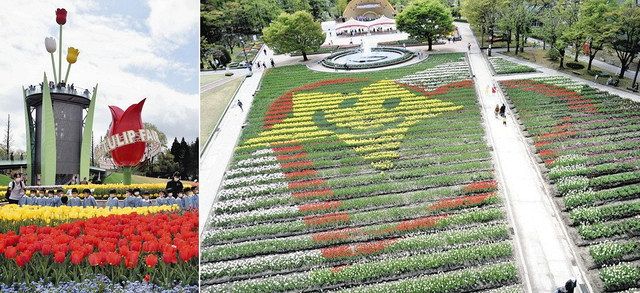 激安通販 どの花見ても ♪ となみチューリップフェア開幕：北陸中日新聞Web ネクタイ一般