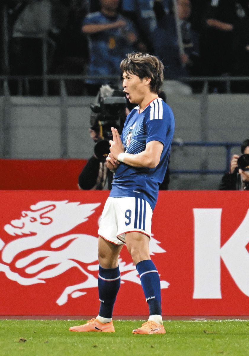 みなこうたい 専用! みなこうたい様専用 ベジット ドッカンバトル