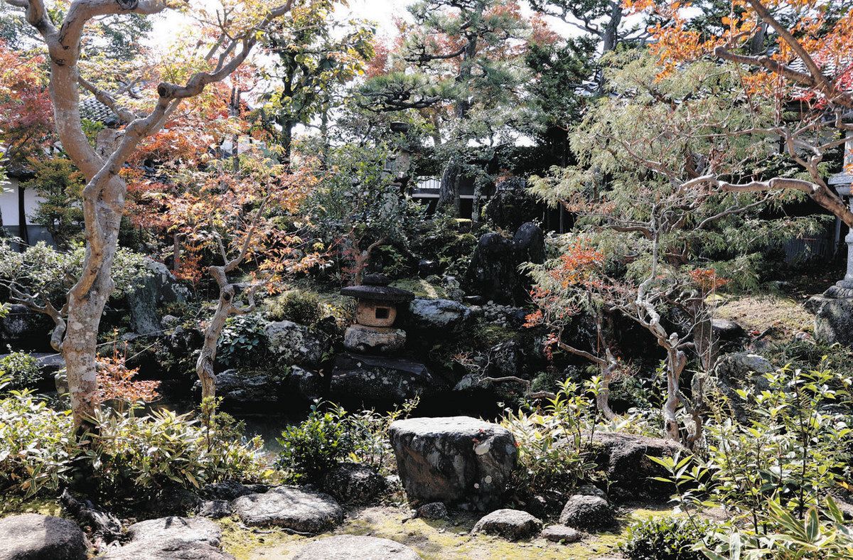 紅葉の四日市「旧平田家住宅」楽しんで 12月9日まで書院や庭園を一般