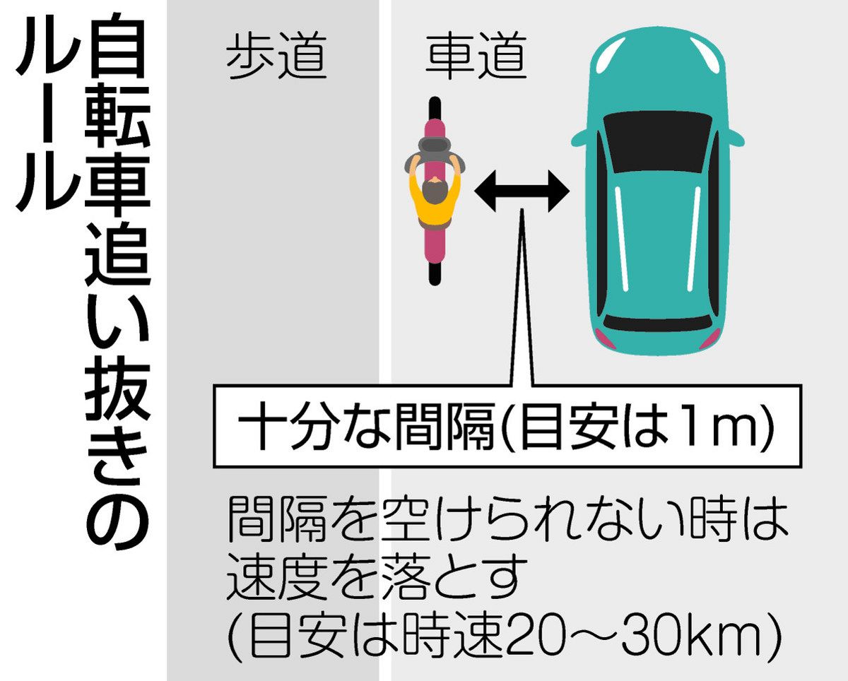 歩 車 分離 式 信号 自転車