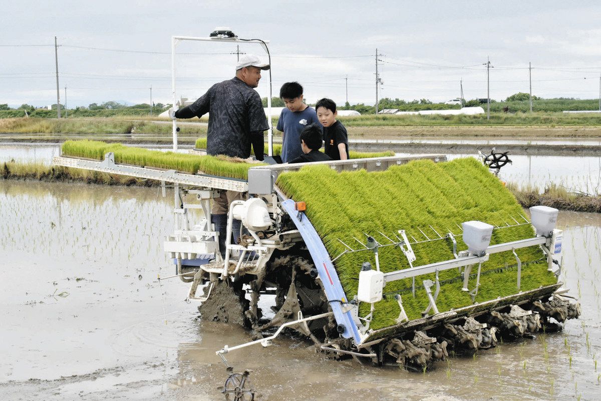 ヤマハ 歩行田植え機　食育などご活用ください 手で 機械で 田植え体験 東近江で地域住民ら参加、農業に親しむ：中日