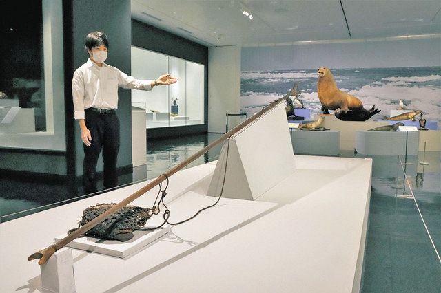 アイヌと北陸 つないだ海 祭具 実は輪島塗：北陸中日新聞Web