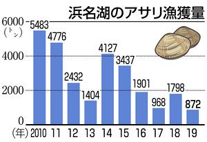 浜名湖潮干狩り中止 アサリ不漁で２年連続 中日新聞しずおかweb