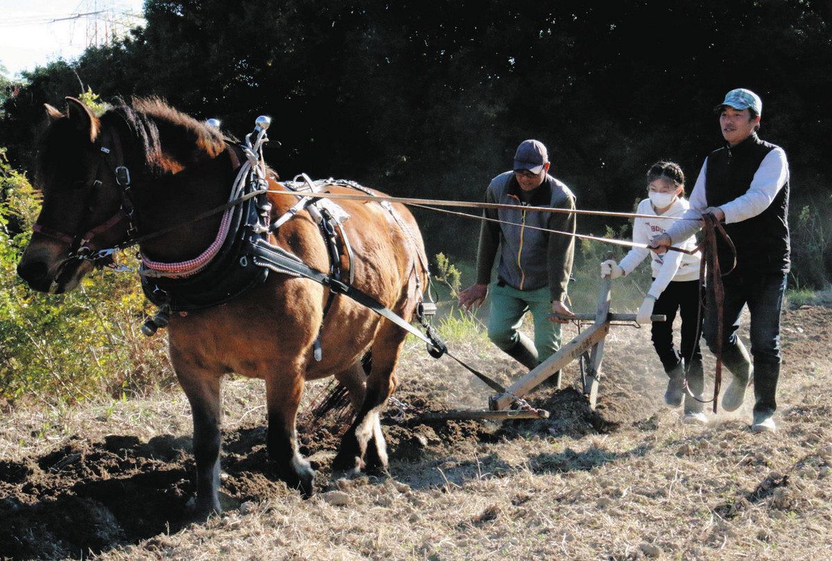 木曽馬の魅力、愛知でPR 開田高原から若菜号出張、親子ら馬耕体験：中