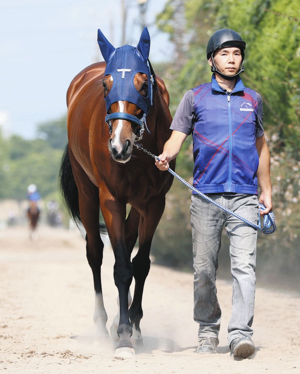 宝塚記念】過去のデータから『消せる馬』人気のドウデュース、ジャスティンパレスにプラダリアも…生き残った“連対候補”は5頭：中日スポーツ・東京中日スポーツ