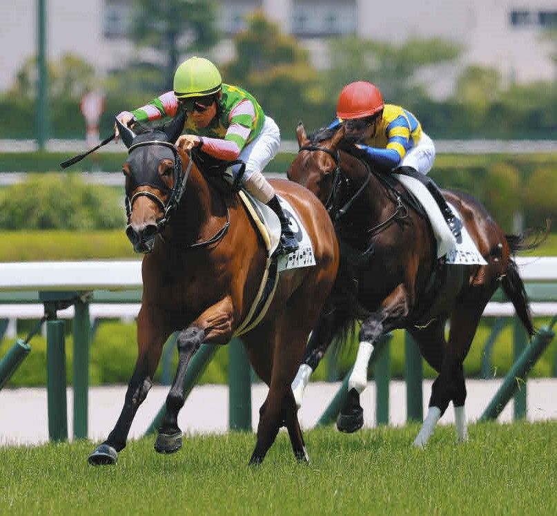 阪神新馬5R】2番人気ジーティーサクラ直線伸びてV 北村友一騎手「新馬