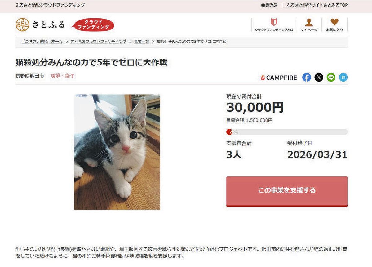 ネコ殺処分減へ、飯田市が寄付募る ふるさと納税活用し不妊去勢手術費