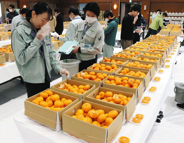 JAみっかびの高橋さんが大臣賞 県貯蔵ミカン品評会：中日新聞しずおかWeb