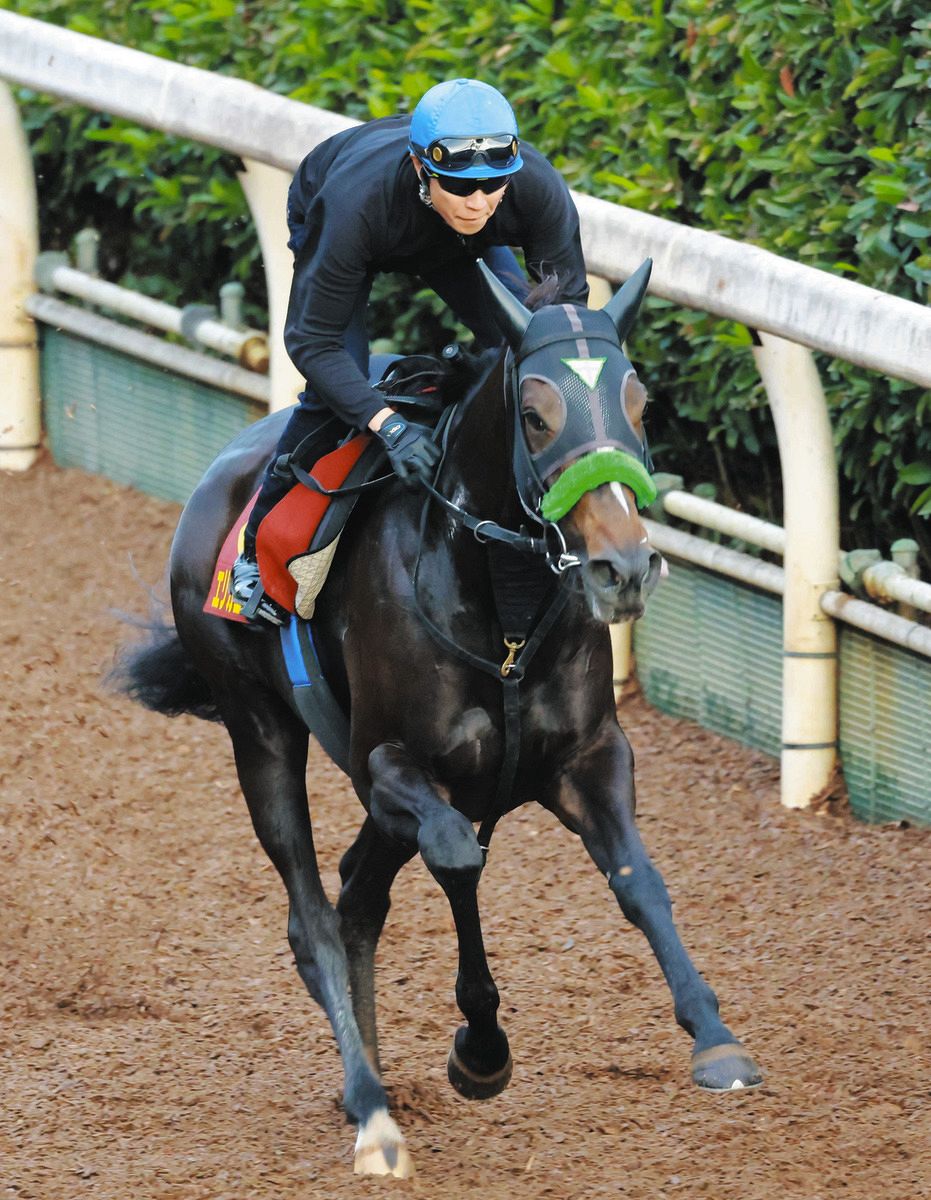 秋華賞】武豊と新コンビのエリカエクスプレス 「できればいい馬場で