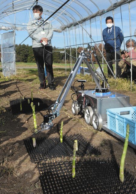 アスパラガス収穫器 鉄開閉量調整機能付き アスパラの自動収穫機を実演 伊那で共同事業体、実用化に期待：中日新聞Web