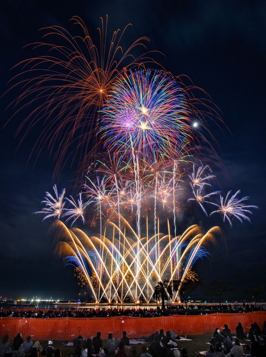 動画・写真多数】全国の花火師が競う「花火甲子園」 蒲郡の夜空と海を彩る：中日新聞Web