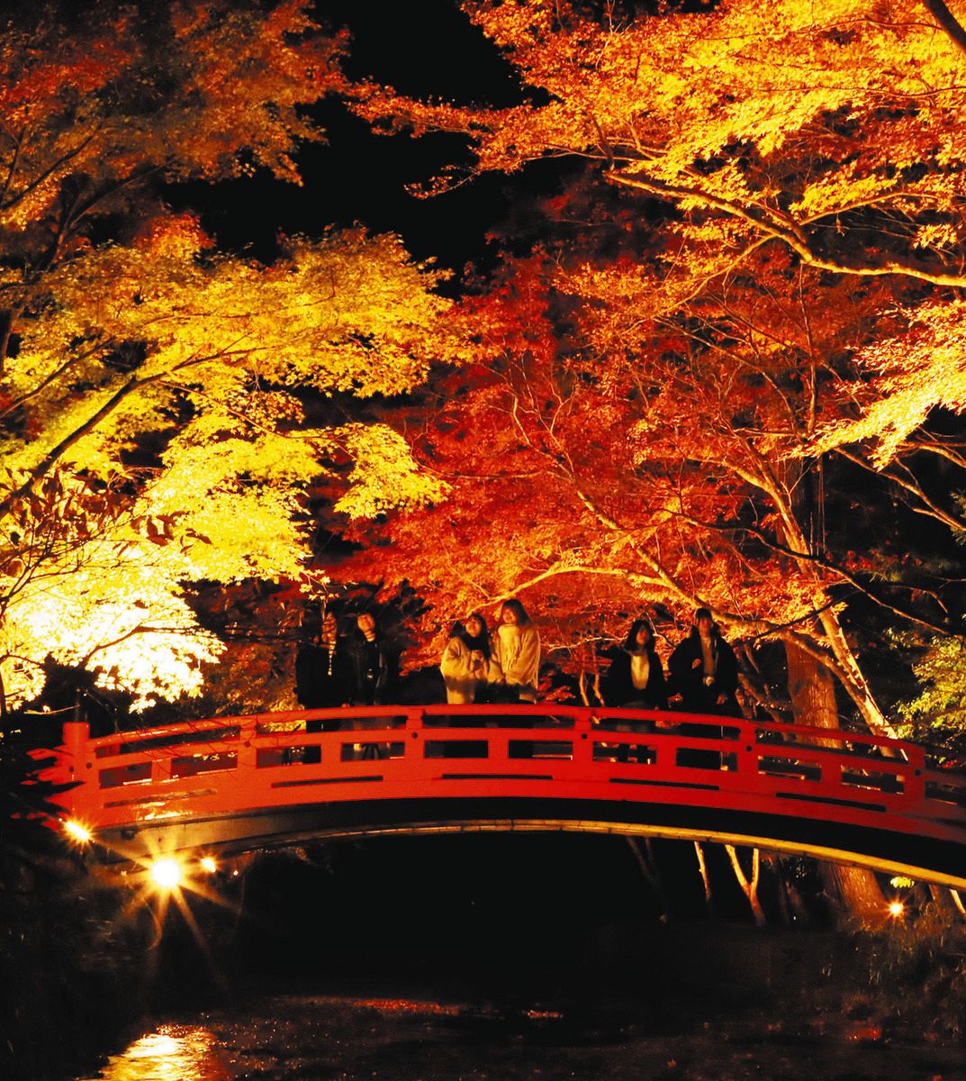小 國 神社 ライト アップ