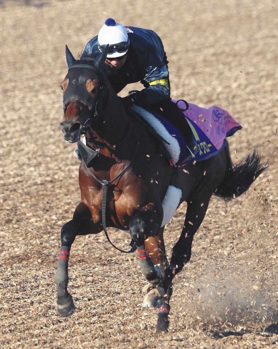 有馬記念 伏兵ミッキースワロー出走回避 追い切り後脚部不安 クレッシェンドラヴ繰り上がり 中日スポーツ 東京中日スポーツ