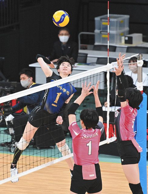 春高バレー県代表決定 男子・星城、女子岡崎学園：中日新聞Web