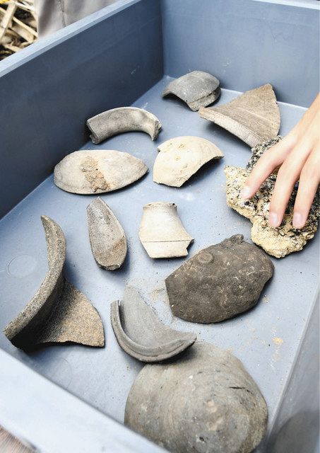 遺構や須恵器に興味津々 湖西で登り窯跡の見学会:中日新聞しずおかWeb
