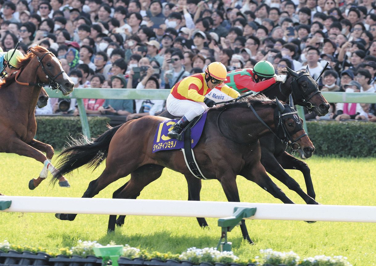 ジャスティンミラノ　全戦現地単勝馬券セット（新馬～日本ダービー）★引退種牡馬入り ジャスティンミラノ 全戦現地単勝馬券セット（新馬～日本