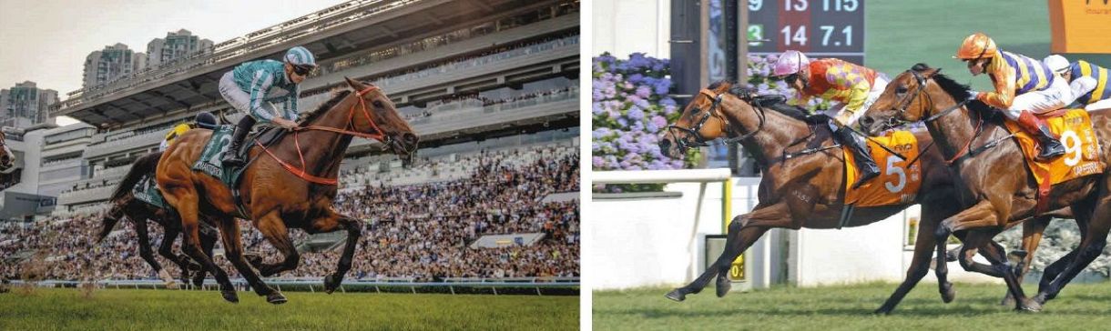 鷹*様 競馬必勝法本『覇王』 楽天市場】競馬（ギャンブル｜ホビー・スポーツ・美術）：本・雑誌