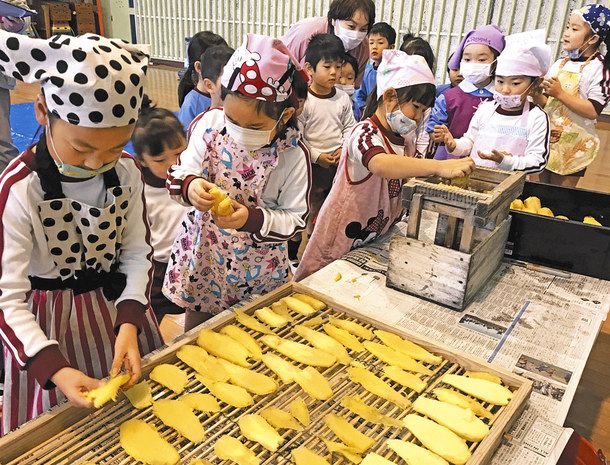 干し芋作り 熱かった 掛川 千浜幼稚園児 中日新聞しずおかweb