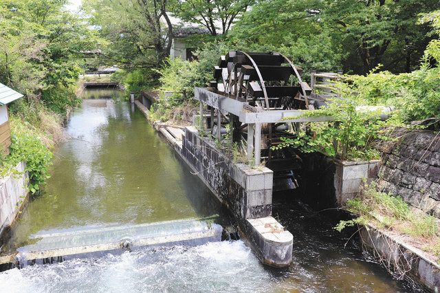 わたシガ名探偵 犬上川 大蛇ケ淵の謎を追え 中日新聞web