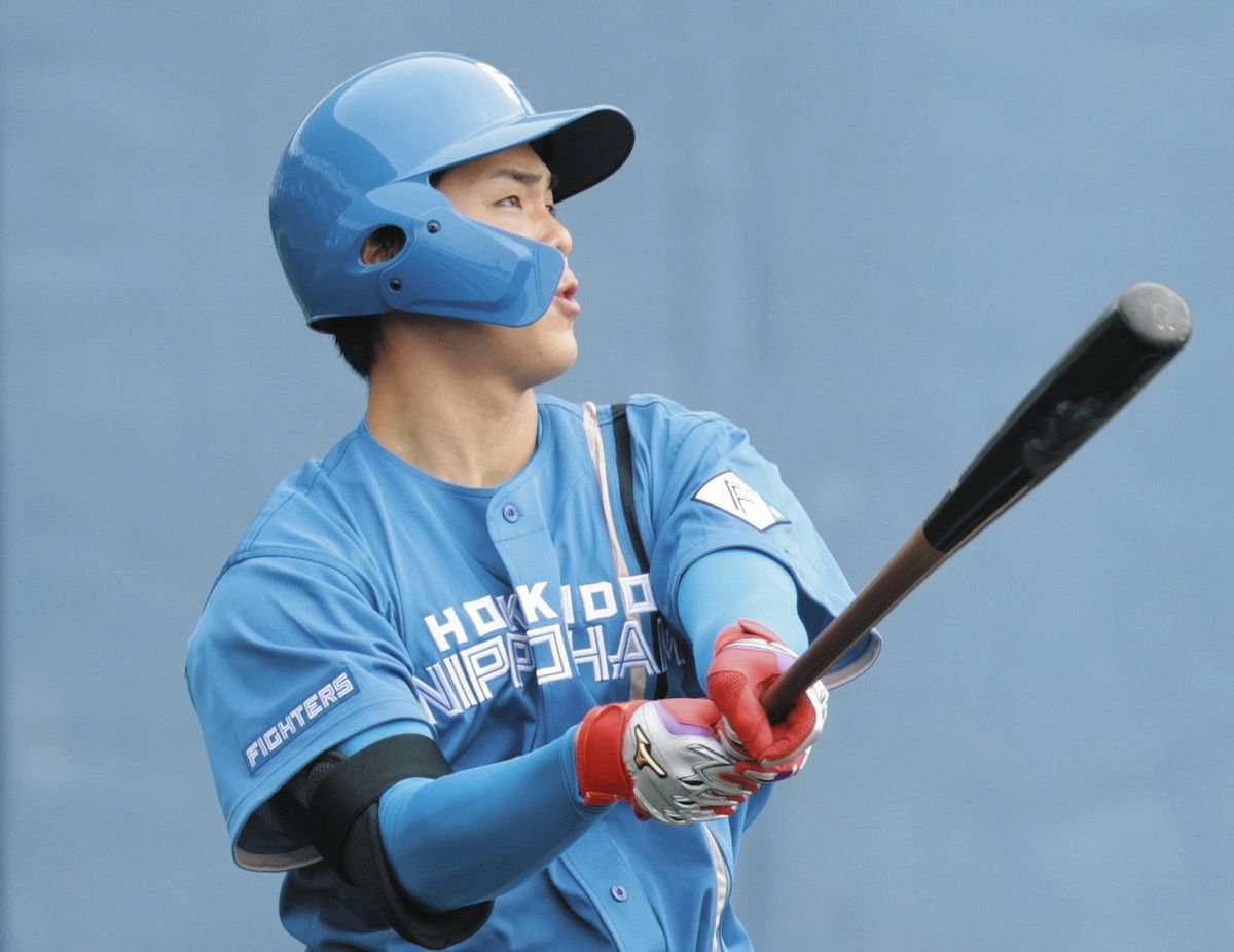 新庄剛志監督　硬式バット　現役時本人使用 新庄剛志監督硬式バット現役時本人使用