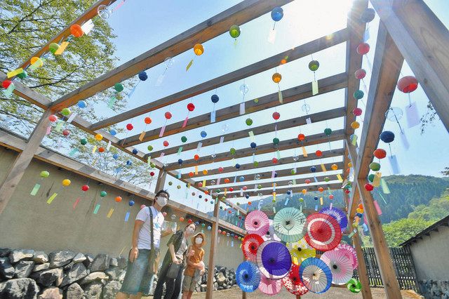 夏空彩る和傘、風鈴 一乗谷朝倉氏遺跡 ：日刊県民福井Web