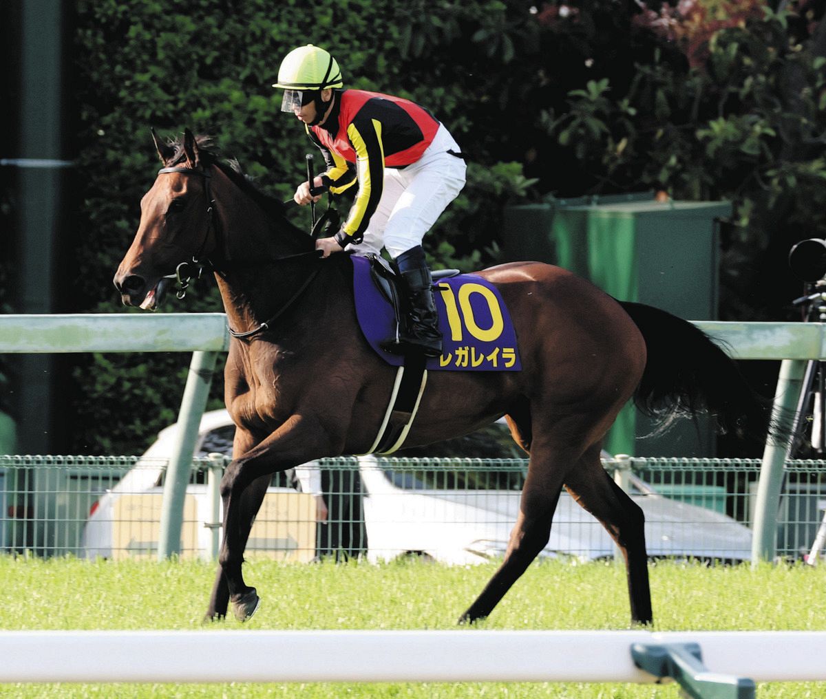 皐月賞】1番人気・レガレイラ、6着 76年ぶり牝馬制覇はならず 北村宏