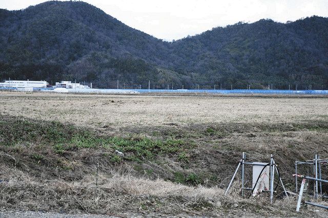 ブドウ、ナシ栽培 近江八幡の津田内湖干拓地に果樹団地:中日新聞Web